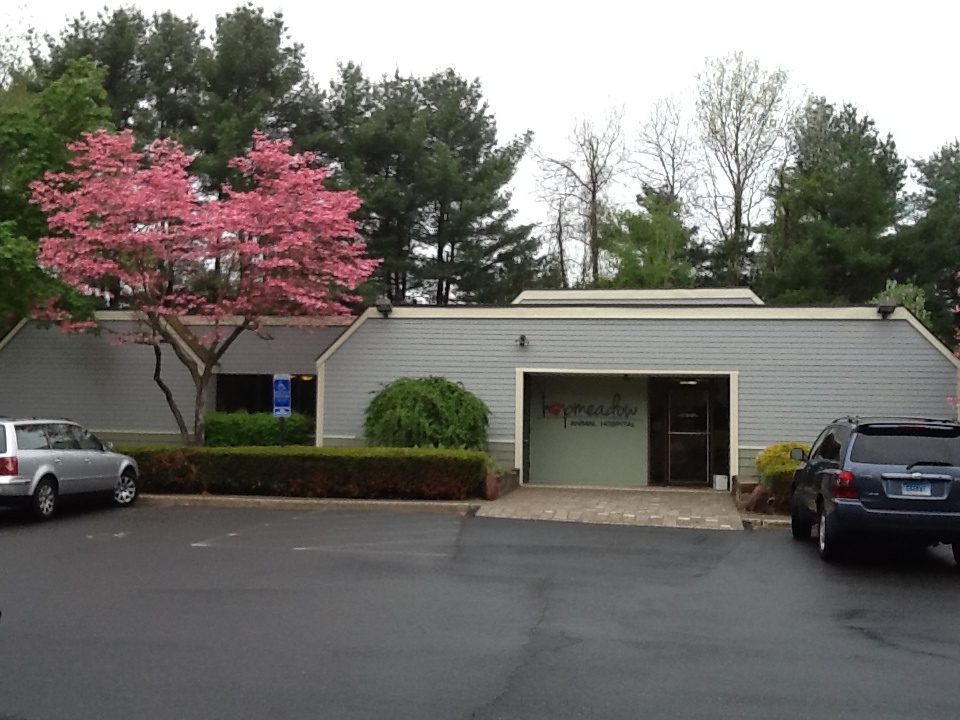 Hopmeadow Animal Hospital - Veterinarians serving Simsbury, Weatogue, and Avon, CT - Welcome to our site! 