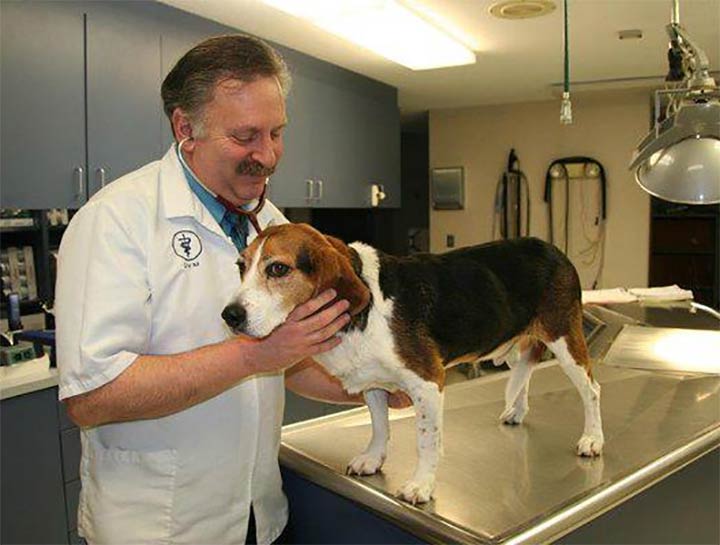 Preventive Care for Dogs